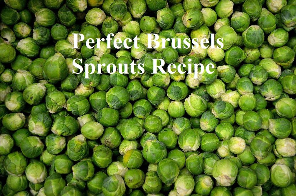   Brussels Sprouts   America's test kitchen Recipe
