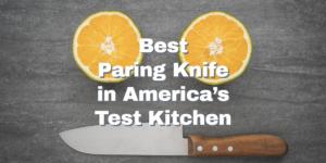 Best Paring Knife America’s Test Kitchen